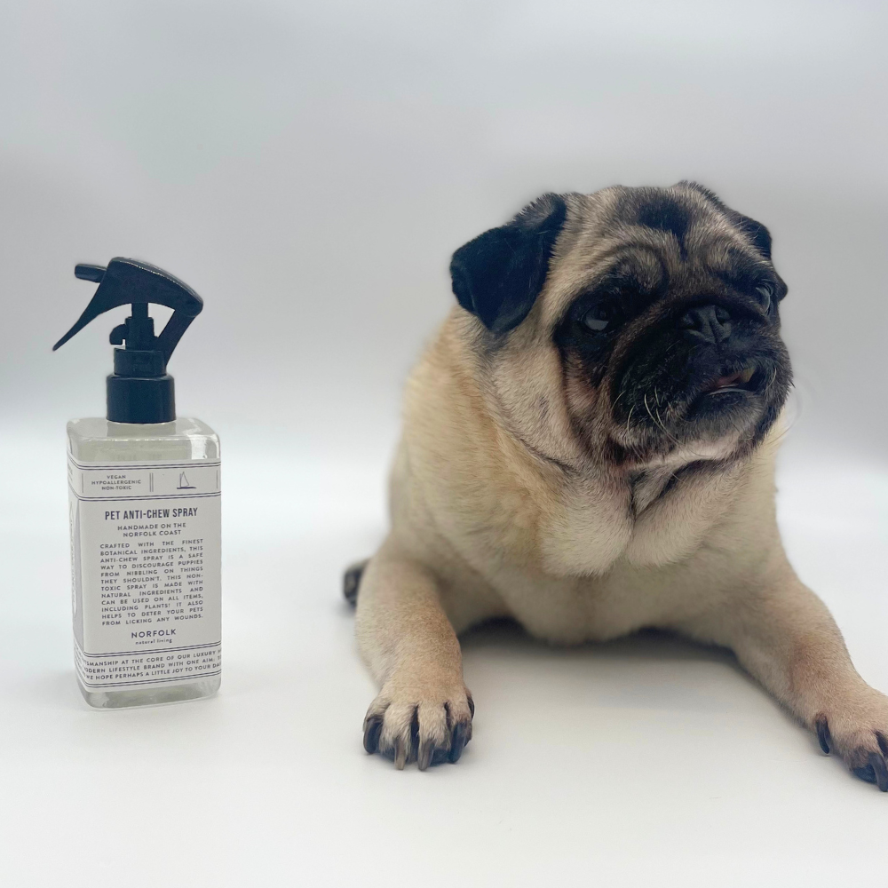 Norfolk Natural Living Pet Anti-Chew Spray - Image 2