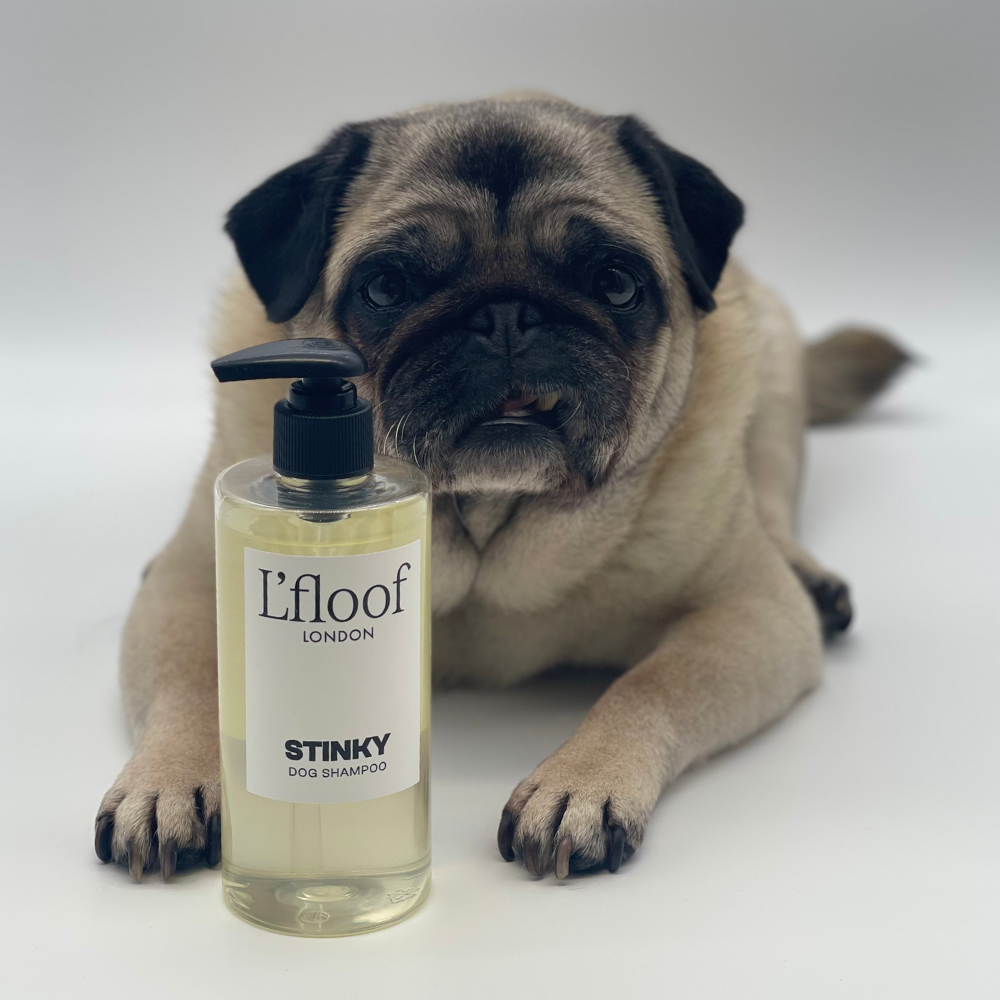 locations we serve - natural grooming products