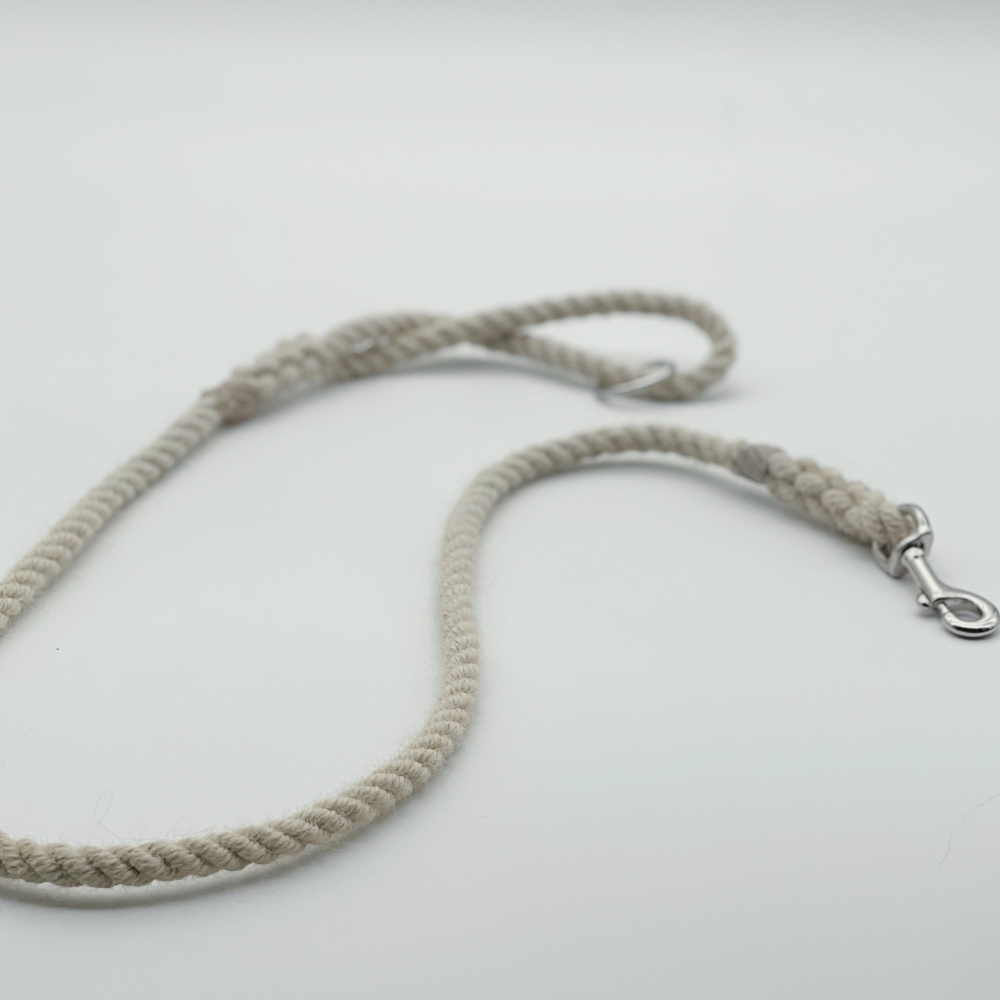 sustainable dog lead 2