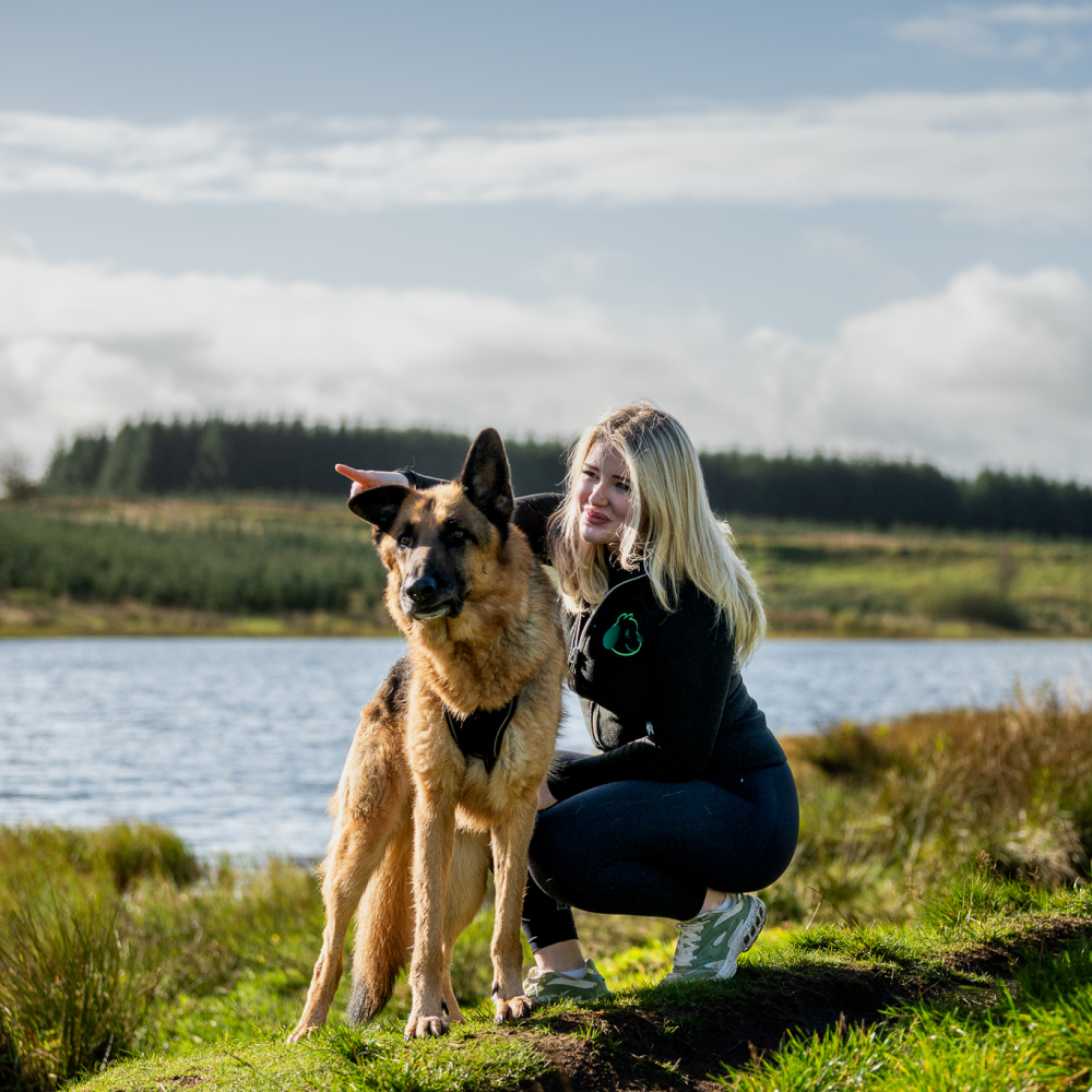 online pet shop scotland 3